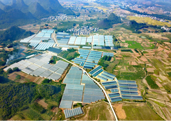 广西贺州三大产业项目“组团”落地 总投资超37亿元赋能产业升级