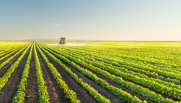农林牧渔行业资金流入榜：登海种业、敦煌种业等净流入资金居前