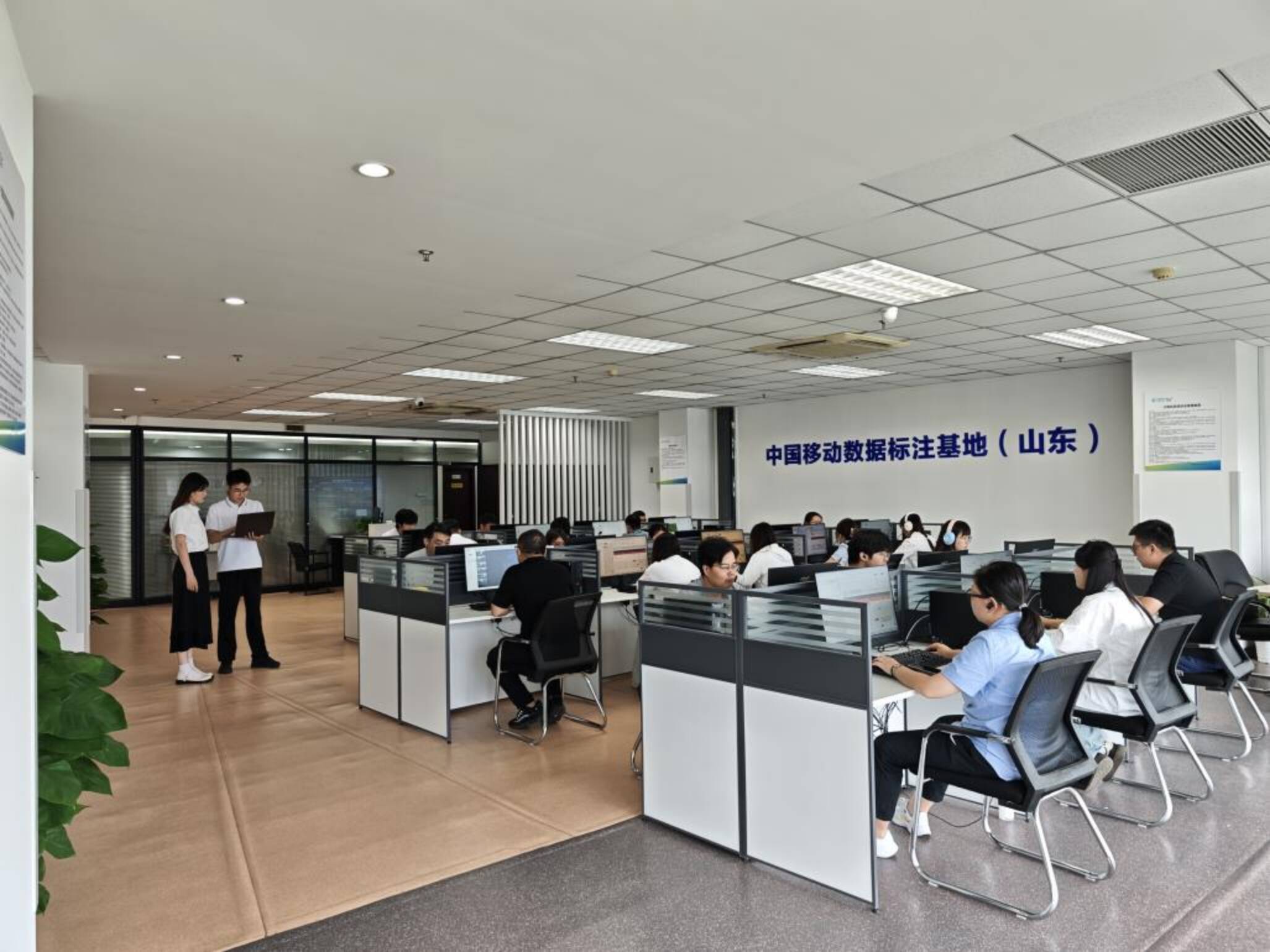 2026银发经济产业深度调研：需求分层与供给创新并进_人保服务,人保财险 