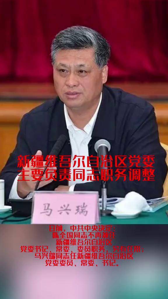 国家电网与新疆维吾尔自治区党委政府举行会谈