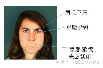 如何面对AI谄媚