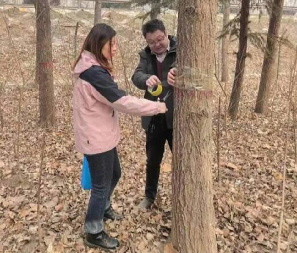 雅本化学:公司关注到了湖南2026“虫情预报”的有关新闻