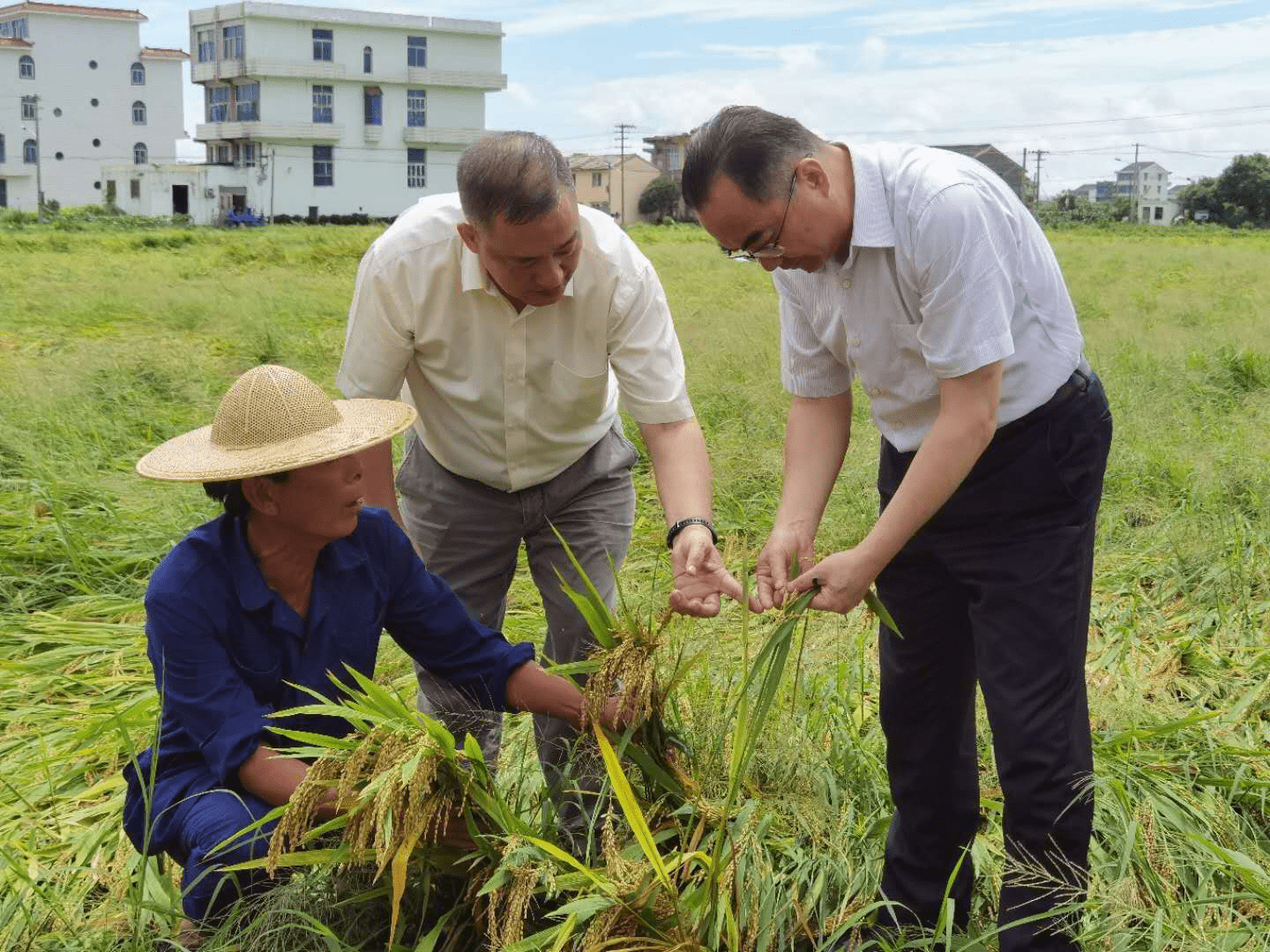 钨钢行业未来五年发展机遇：政策、技术、需求三重驱动_人保伴您前行,人保有温度
