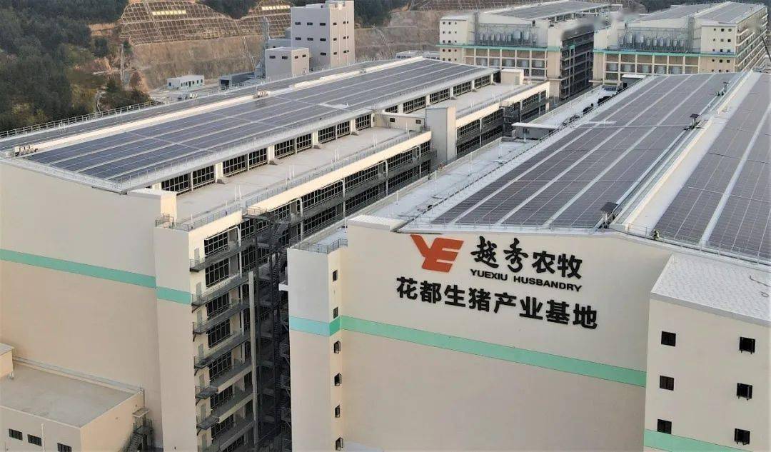 签约3年后终止！明冠新材砍掉50亿元光伏项目后，能否借2.9亿元特种功能膜项目扭亏？