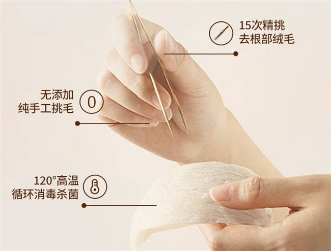 2026燕窝行业市场分析及深度调查报告_人保服务 ,拥有“如意行”驾乘险，出行更顺畅！