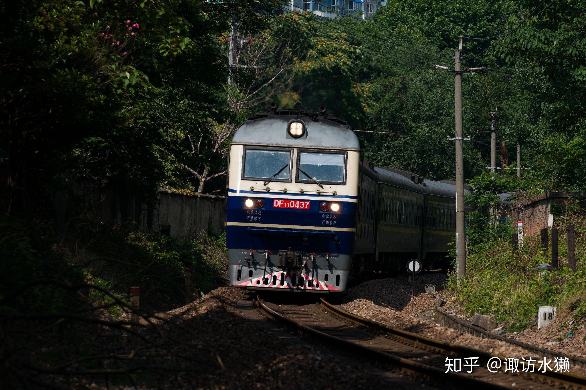 （新春见闻）夜间动车：在闹与静间奔向家的方向