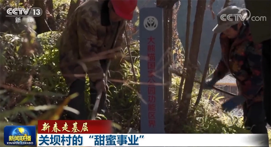 新春走基层 | 深圳迎春花市的经济账:一枝春色撬动亿元市场