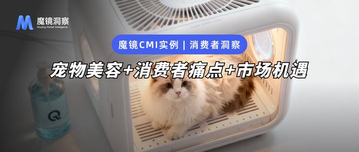 （新春走基层）浙江安吉白杨村养好一方净土 掘金“宠物经济”新赛道