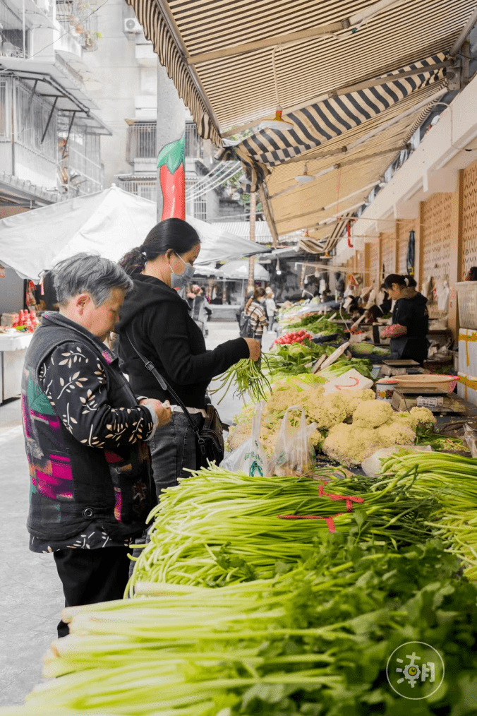 每经热评｜“春运化”排片换不来真繁荣，电影市场需回归日常烟火
