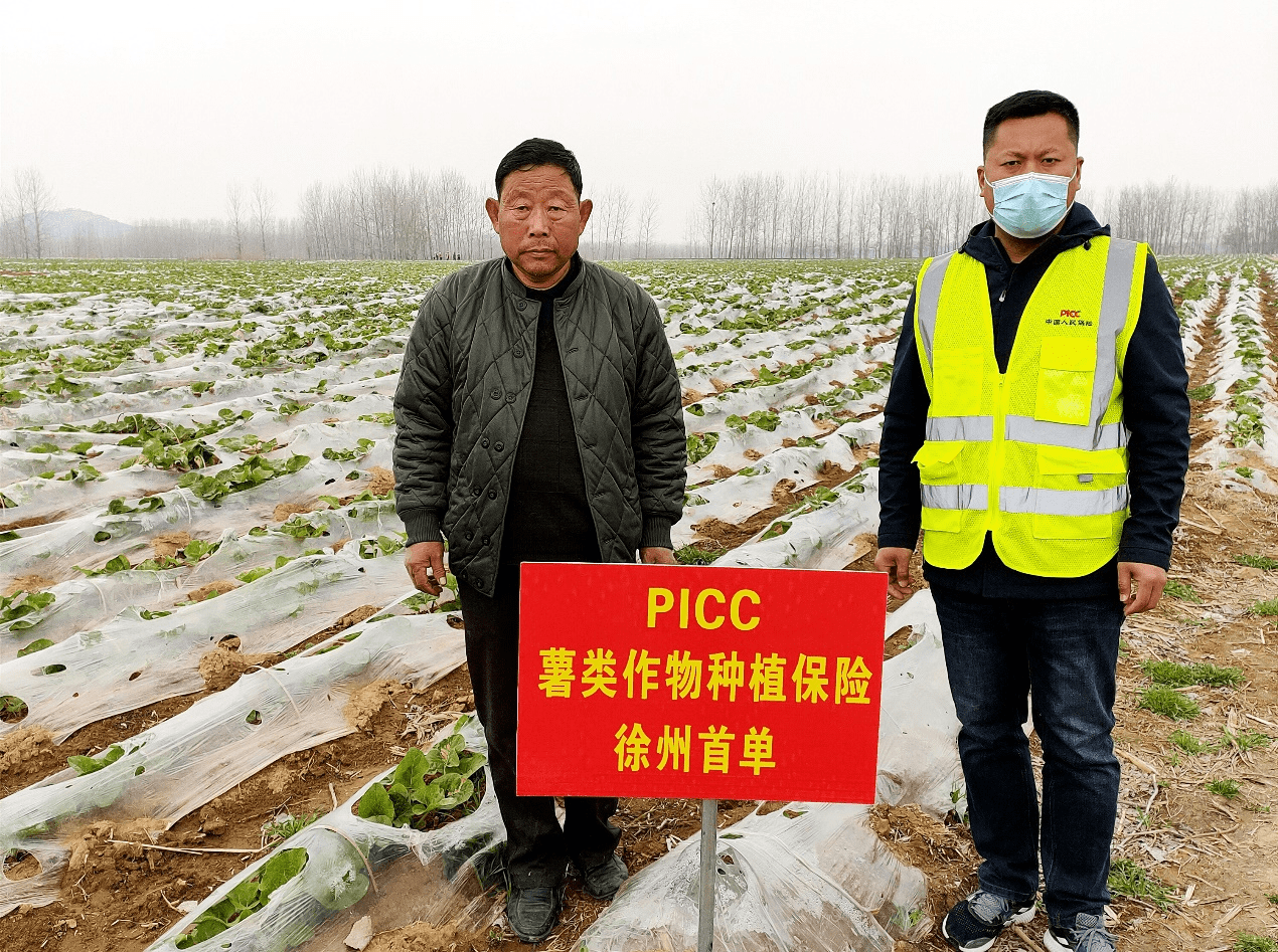 2026再生皮革行业市场细分赛道及未来趋势分析_保险有温度,人保有温度