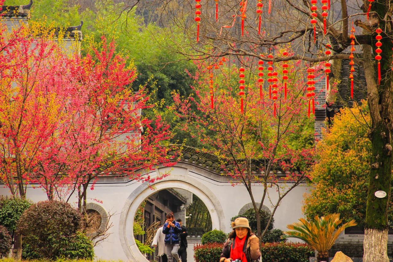 春日文旅暖意浓 中国多地景区迎“三八”送福利