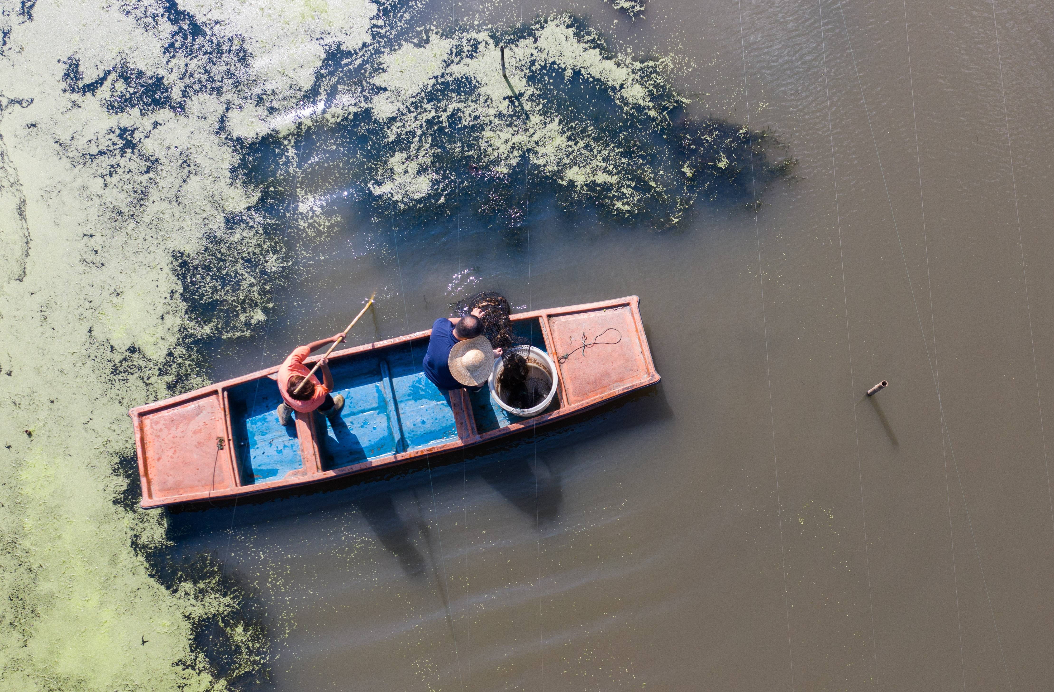 （乡村行・看振兴）太湖南岸“水上春耕”忙 一只白玉蟹托起乡村共富梦