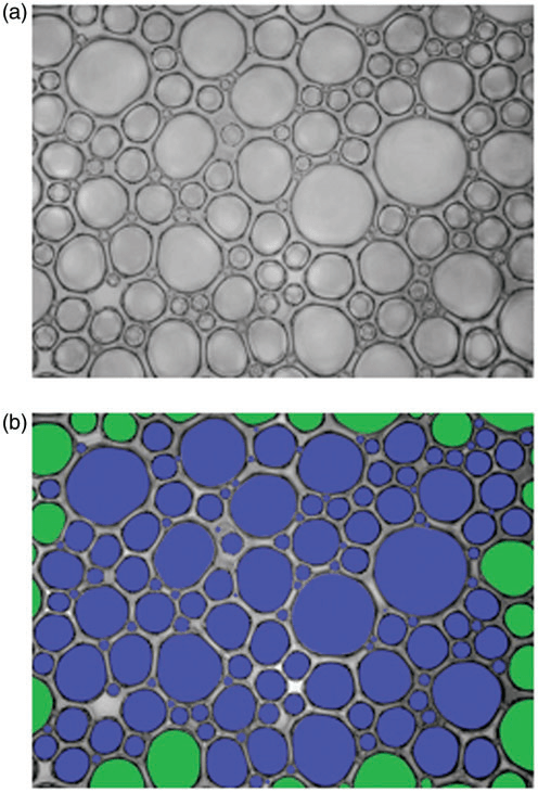 中国石化获得发明专利授权:“一种阴离子双子表面活性剂、微泡沫驱油剂及其制备和应用”