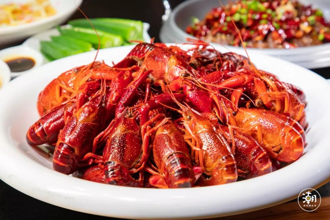 深圳龙岗发布“龙虾十条”！最高1000万元股权投资支持，速看→