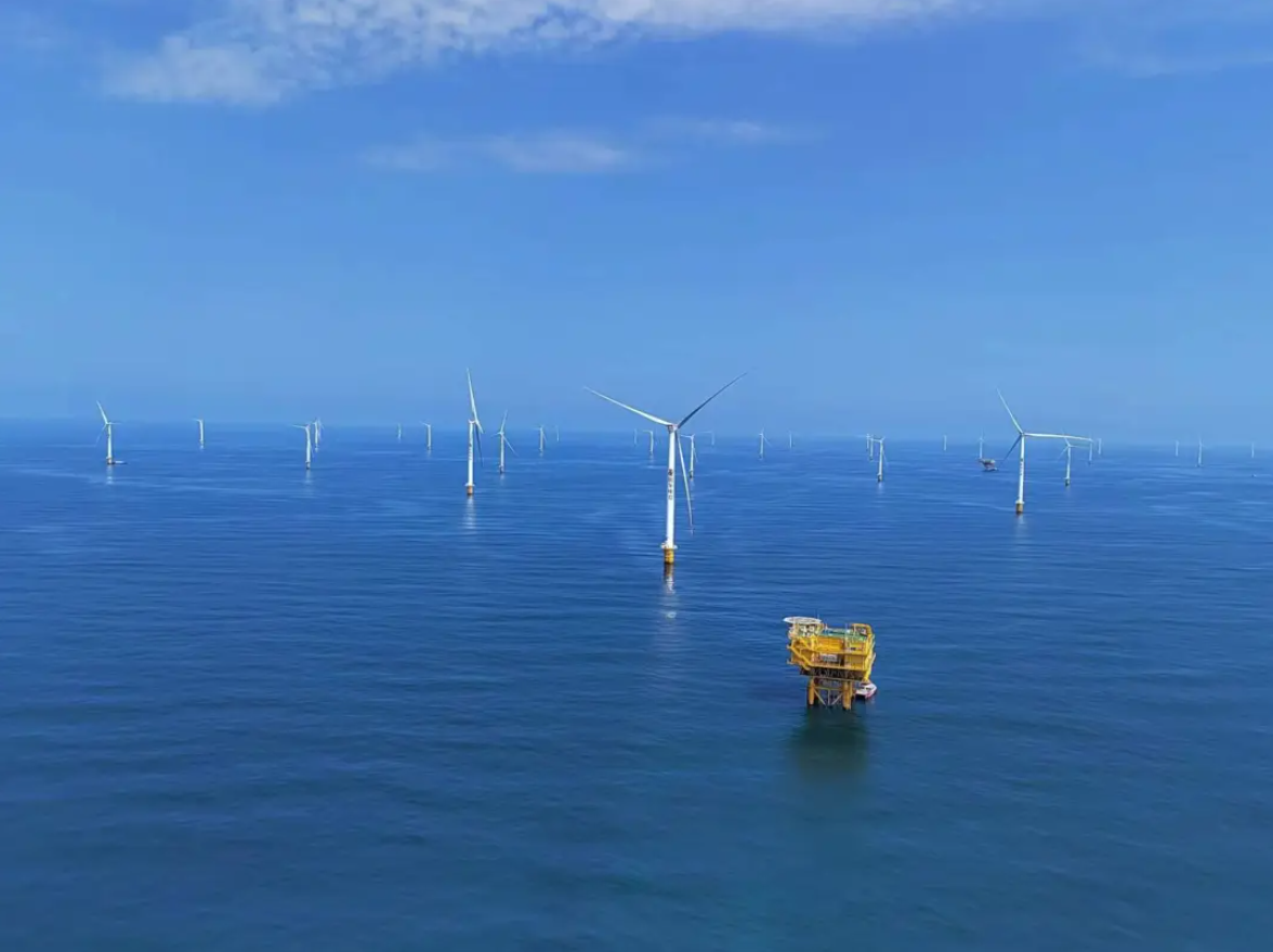 广东湛江今年前2个月供港澳活猪同比增长50.9%