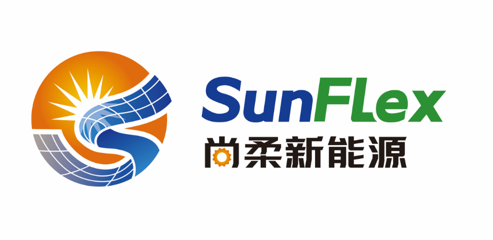 全国人大代表、九洲集团董事长李寅:推动分布式新能源就近消纳