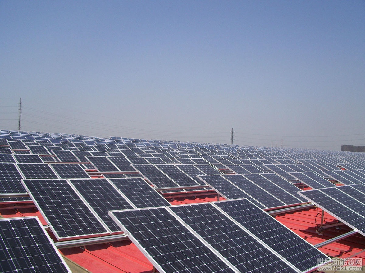 全国人大代表、九洲集团董事长李寅:推动分布式新能源就近消纳