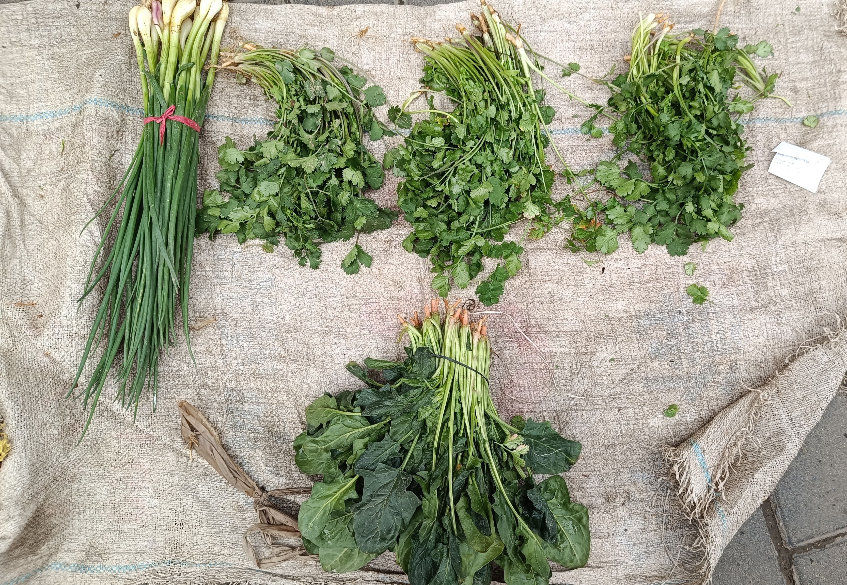 （乡村行・看振兴）卖菜卖到东南亚