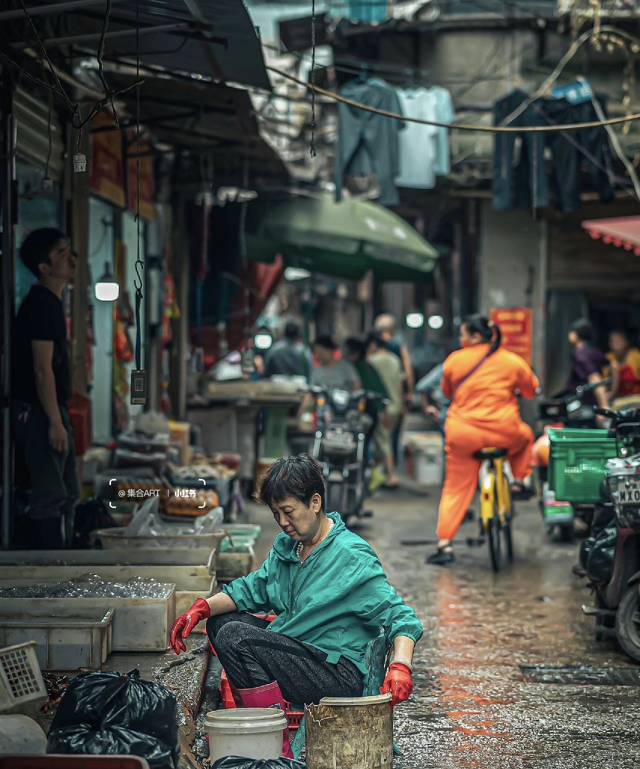 （乡村行・看振兴）卖菜卖到东南亚