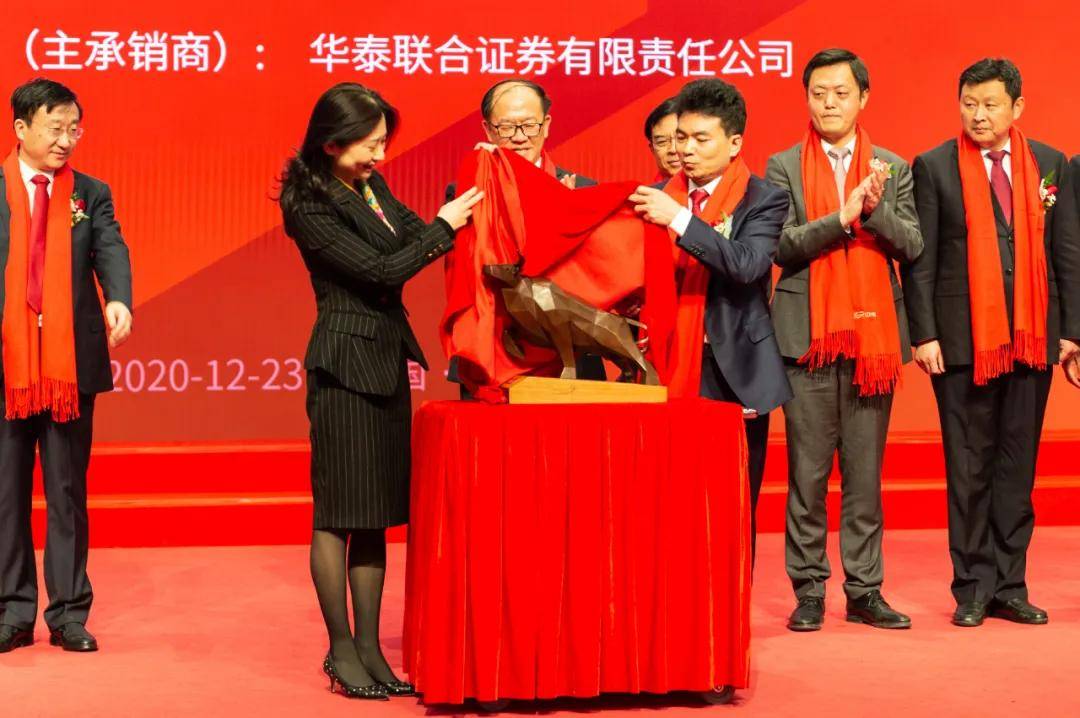 深交所向北方长龙新材料技术股份有限公司、陈跃、相华、孟海峰发出监管函