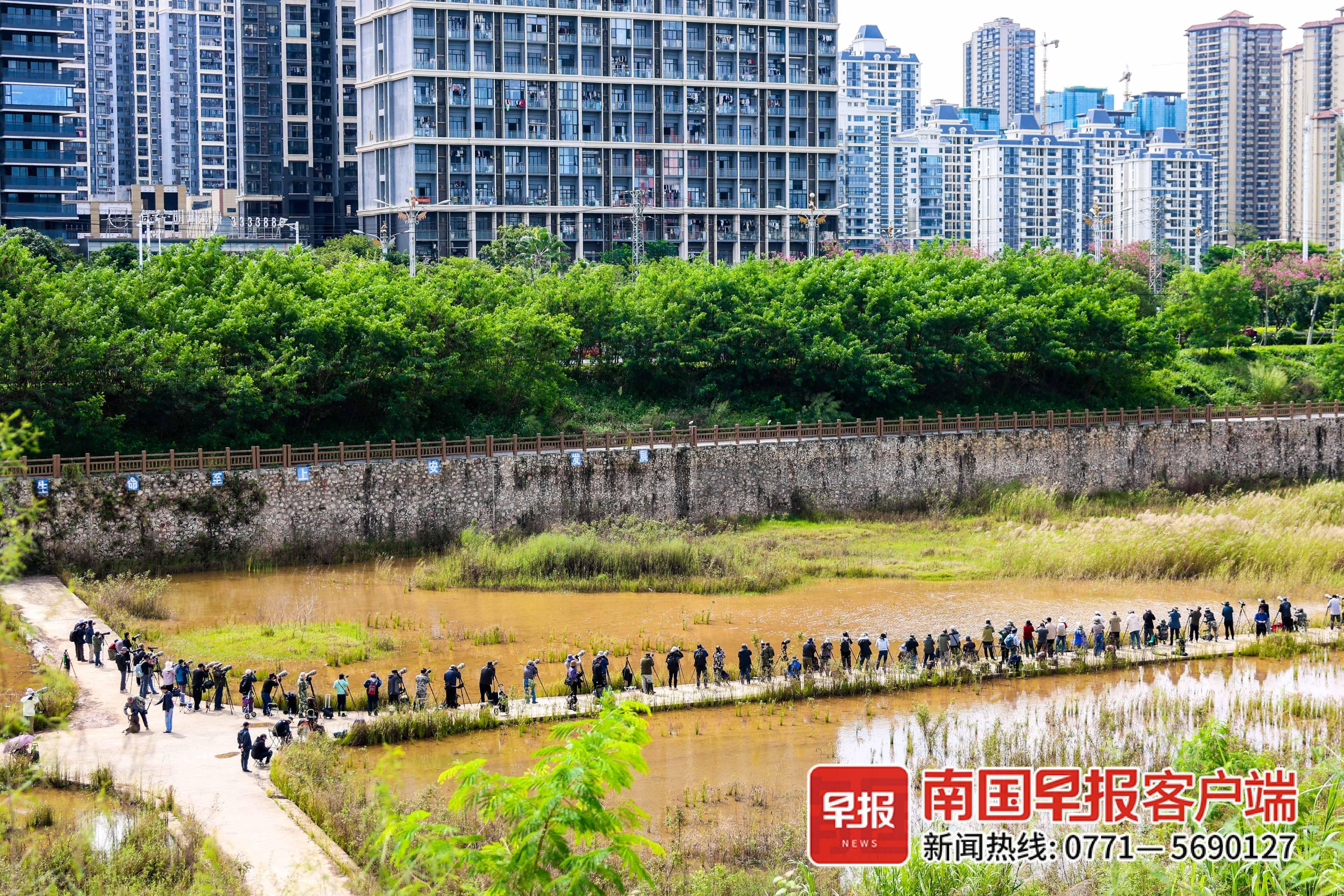 立方风控鸟·早报(3月21日)