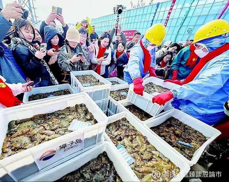 2026金扁鹊榜单区域观察｜华南区域：人口流动与消费升级共振，中医服务进入高频长期管理