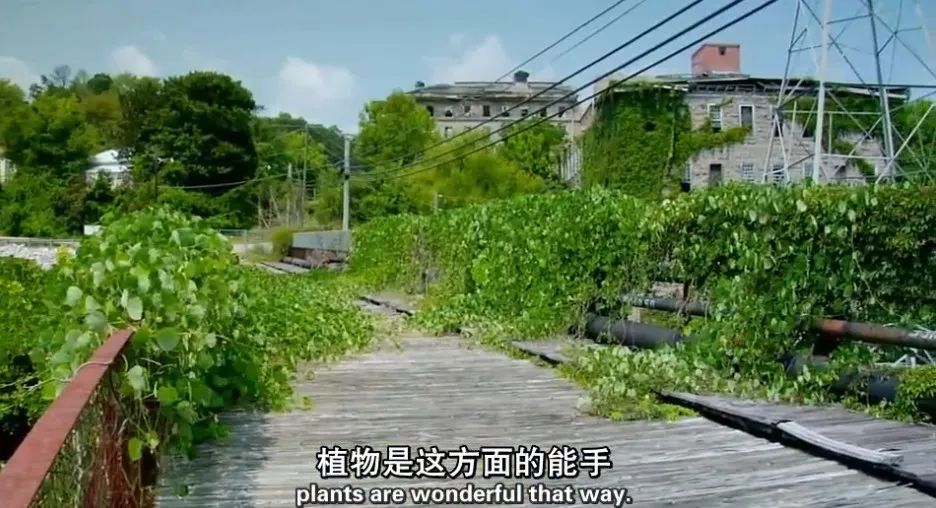 让数字遗产延续人类的爱与记忆