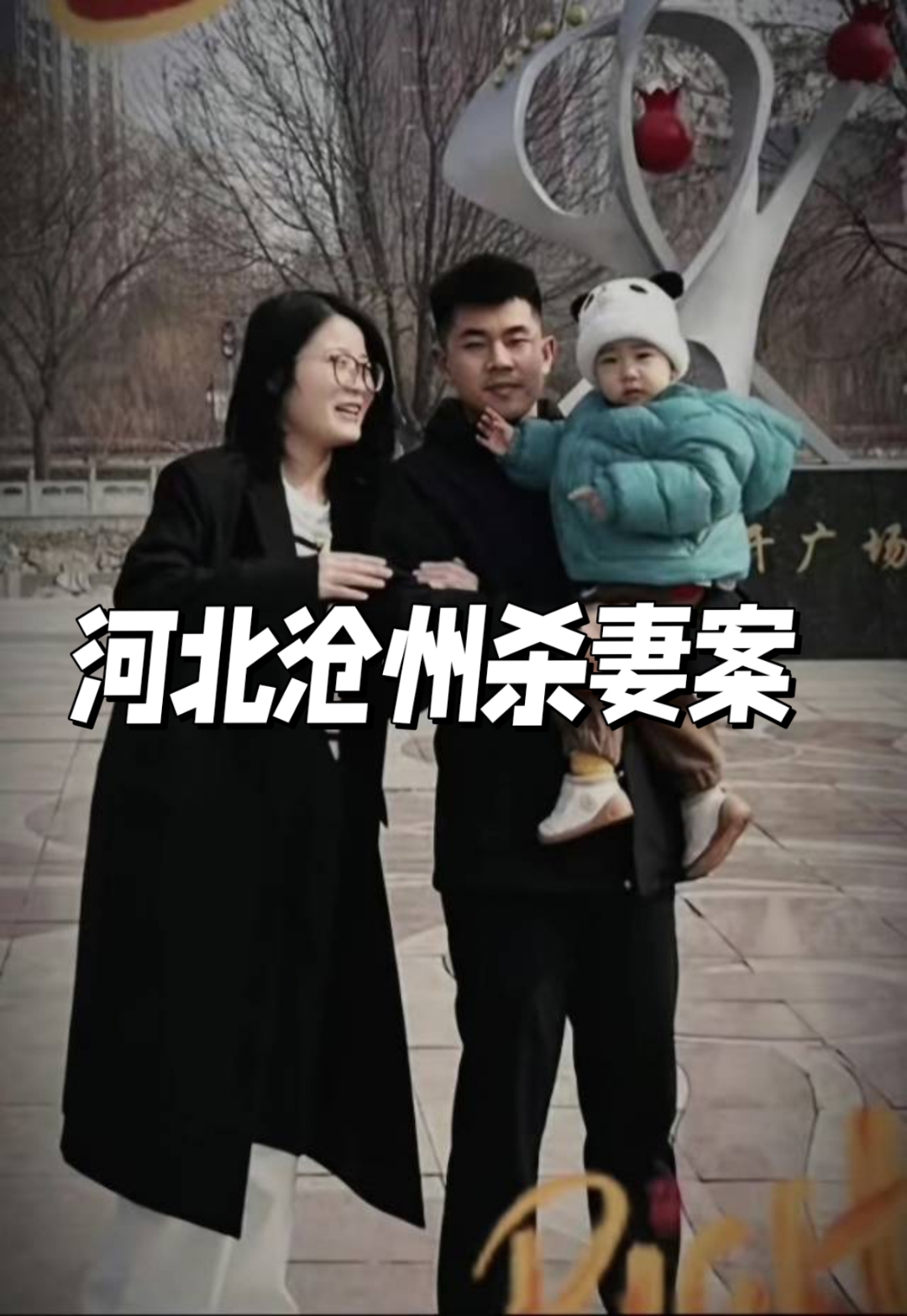 河北沧州家暴杀妻案,金昊被执行死刑!其母此前因帮助毁灭证据被判有期徒刑2年2个月