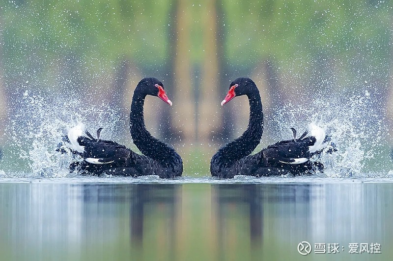 立方风控鸟·晚报（4月9日）