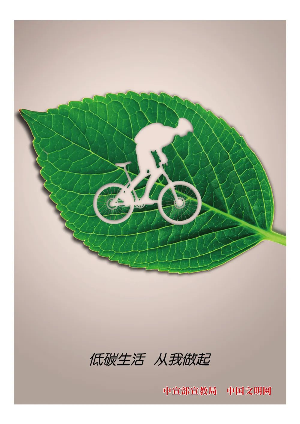 绿色出行风靡海外 浙产电动两轮车跑出外贸 “加速度”