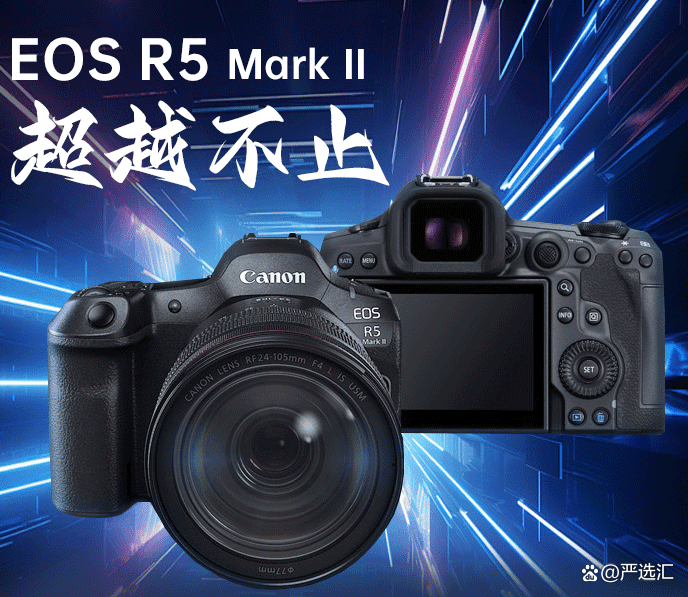 从单反黄昏到无反黎明：2026年中国数码相机行业深度观察_人保车险   品牌优势——快速了解燃油汽车车险,人保有温度