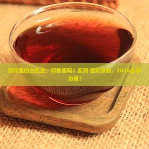 拥有“如意行”驾乘险,出行更顺畅!,人保护你周全_2026茶叶电商行业市场规模分析及发展潜力预测