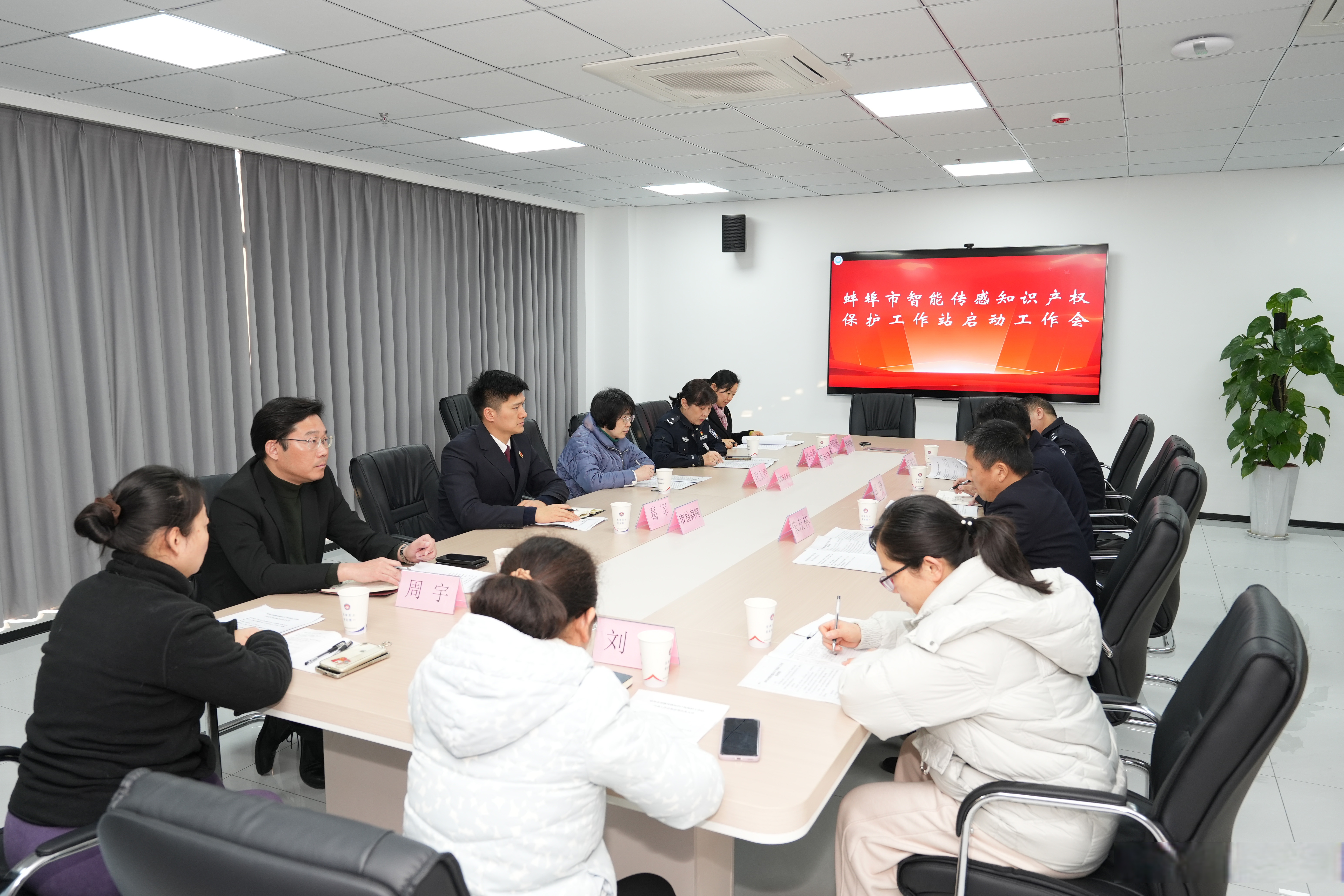 国家知识产权局：人工智能、集成电路、脑机接口纳入“快保护”通道