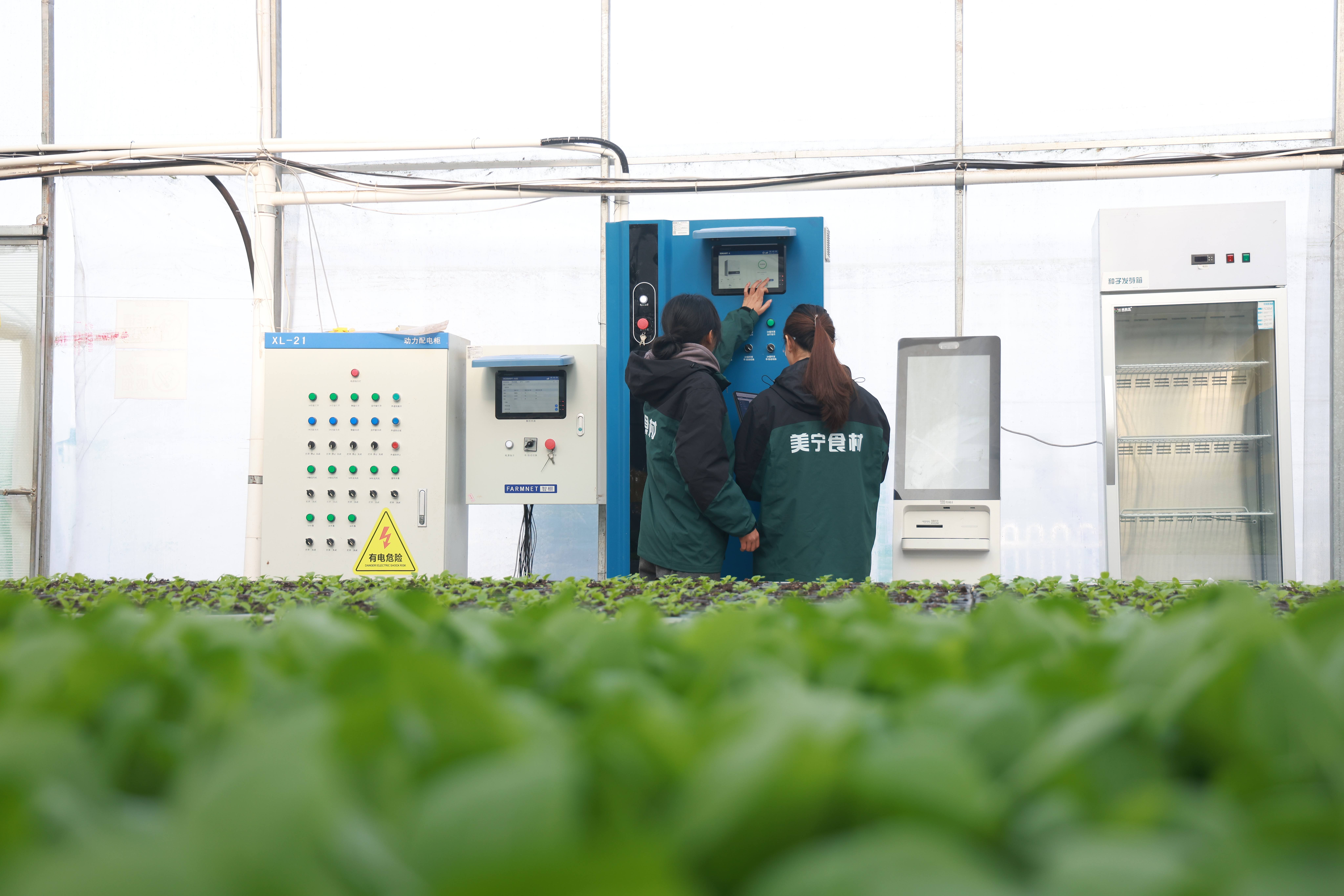 《2025-2030年中国智能播种机行业市场调查与发展前景分析报告》深度解读:智慧农业转型期的产业重构与战略投资指南_拥有“如意行”驾乘险,出行更顺畅!,人保护你周全